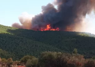 Νέα μεγάλη φωτιά στα Βίλια: «Εκκενώστε προς Ψάθα», το μήνυμα από το 112 – Κοντά σε σπίτια οι φλόγες