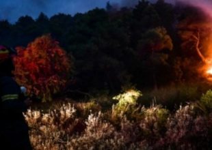 Συναγερμός στην πυροσβεστική: Φωτιά στον Μαραθώνα, καίει ξερά χόρτα κοντά στον δρόμο Γραμματικού-Σέσι