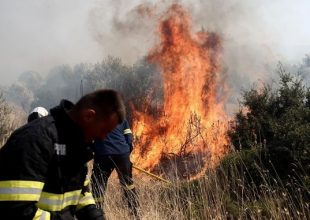 Φωτιά στον Ελαιώνα κοντά στη δομή μεταναστών