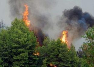 Πυρκαγιά στην Κάρπαθο: Μάχη σε δύο μέτωπα – Φτάνουν ενισχύσεις από Κρήτη και Ρόδο