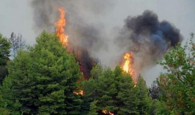 Πυρκαγιά στην Κάρπαθο: Μάχη σε δύο μέτωπα – Φτάνουν ενισχύσεις από Κρήτη και Ρόδο