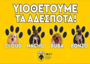 Με οκτώ κουταβάκια οι παίκτες της ΑΕΚ κόντρα στον Ατρόμητο