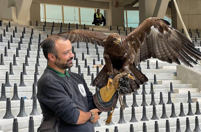 Καθ’ όλα νόμιμη η ΑΕΚ για τον αετό που θα πετάει πάνω απ’ την Αγιά Σοφιά – OPAP Arena