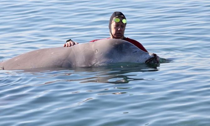 Υπέροχα νέα για τη φάλαινα: Καταδύθηκε στα βαθιά μετά την ισχυρή φαρμακευτική αγωγή