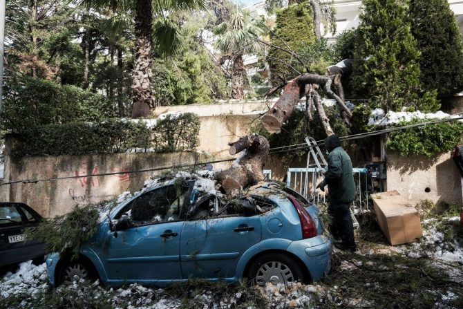 Αποζημίωση για τα οχήματα που έπαθαν ζημιά από πτώση δέντρων στην Αθήνα Αποζημίωση για τα οχήματα που έπαθαν ζημιά από πτώση δέντρων στην Αθήνα