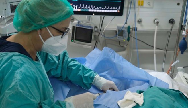 Κορωνοϊός: Ρεκόρ με 50.126 κρούσματα σήμερα στην Ελλάδα – 61 νεκροί και 619 διασωληνωμένοι