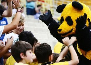 Ξανά στην δράση ο PandaPandou