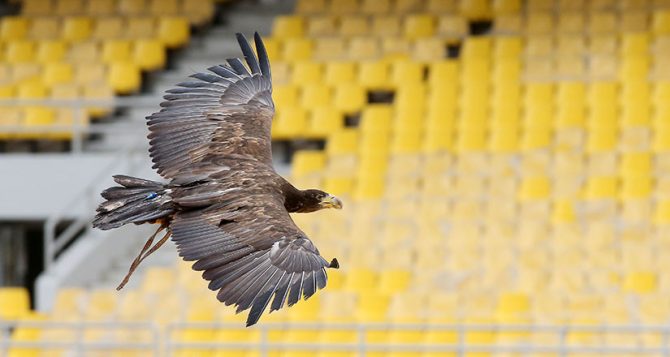 Επικό βίντεο με τον Οδυσσέα να φέρνει τη μπάλα στη σέντρα του γηπέδου (VIDEO)