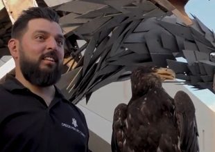 ΑΕΚ TV: «Όταν ο Οδυσσέας συνάντησε τον ατσάλινο Αετό» (VIDEO)