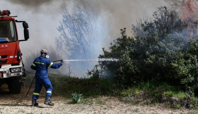 Φωτιά σε δασική έκταση στην Περαχώρα Κορινθίας