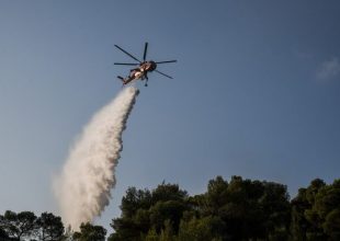Φωτιά στην Εύβοια: Σε καλό δρόμο η προσπάθεια κατάσβεσης – Μόνο μικρές και διάσπαρτες εστίες