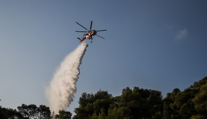 Φωτιά στην Εύβοια: Σε καλό δρόμο η προσπάθεια κατάσβεσης – Μόνο μικρές και διάσπαρτες εστίες