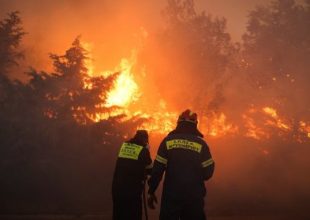 Φωτιά στο Σουφλί: Στις φλόγες ο μισός πυρήνας του δάσους της Δαδιάς – Δυσκολεύει την κατάσβεση ο πυκνός καπνός