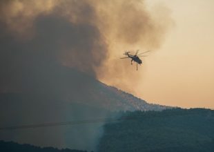Ηλεία: Φωτιά στον Πύργο κοντά σε σπίτια – Ισχυρές δυνάμεις σε δύο σημεία