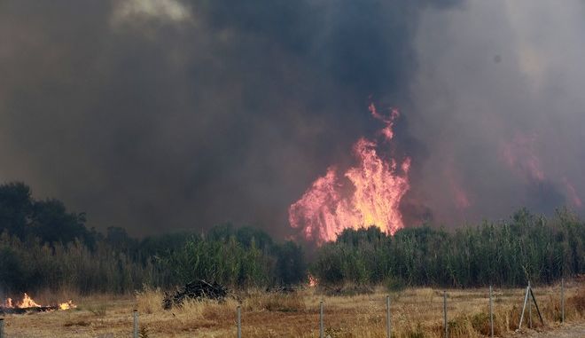 Μεγάλη φωτιά στη Σπάρτη
