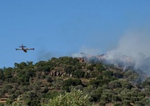 Φωτιά στην Λινίσταινα Ηλείας – Σηκώθηκαν εναέρια μέσα