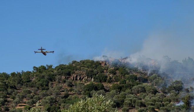 Φωτιά στην Λινίσταινα Ηλείας – Σηκώθηκαν εναέρια μέσα