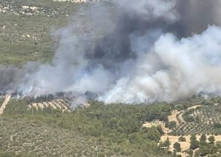 Φωτιά στα Μέγαρα: Εκκενώνεται ο οικισμός Ζάχουλη – Μήνυμα του 112 στους κατοίκους