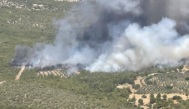 Φωτιά στα Μέγαρα: Εκκενώνεται ο οικισμός Ζάχουλη – Μήνυμα του 112 στους κατοίκους