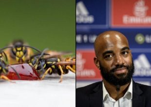 Μέλισσες τσίμπησαν τον Λακαζέτ και μένει εκτός για λίγες ημέρες!