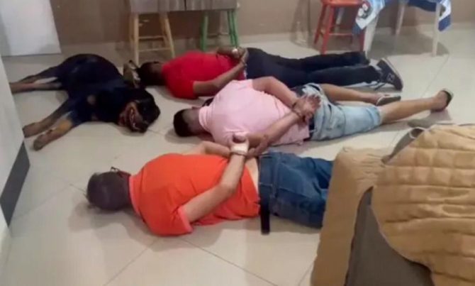 Επικός σκύλος… άραξε δίπλα από τα αφεντικά του, που συνελήφθησαν για εμπόριο ναρκωτικών!