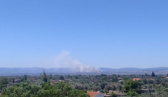 Μεγάλη φωτιά στο Σχηματάρι Βοιωτίας: Κοντά σε σπίτια οι φλόγες – Εκκενώνεται το Δήλεσι