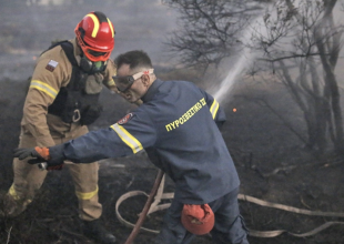 Εκπρόσωπος Πυροσβεστικής: Διάσπαρτες εστίες σε Γέρακα, Ανθούσα, Παλλήνη και Διώνη