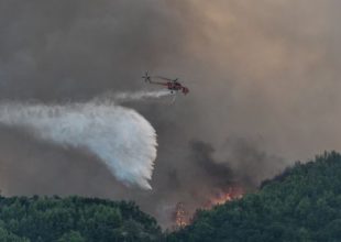Νέα φωτιά στην Ηλεία
