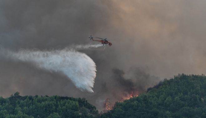 Νέα φωτιά στην Ηλεία Νέα φωτιά στην Ηλεία