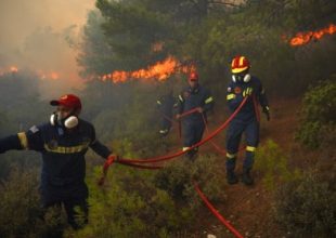 Φωτιά στη Σπιάντζα Πύργου Ηλείας – Συναγερμός στην Πυροσβεστική