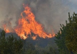 Φωτιές στη Θάσο: Προφυλακιστέος ο 65χρονος κατηγορούμενος – “Την έβαλα για να γελάω”, είπε
