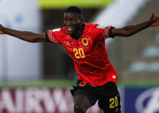 Ο Ζίνι σε δράση (VIDS)