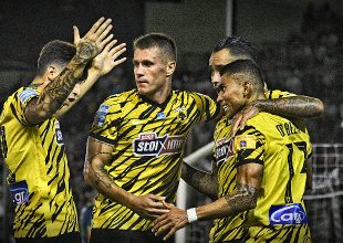 Σκέψεις για διατήρηση του δίδυμου Σιμάνσκι – Πινέδα