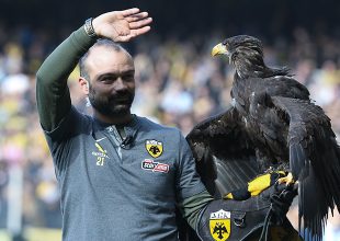 Πρόγραμμα για την προστασία των άγριων αρπακτικών πτηνών στο περιθώριο του Οδυσσέα