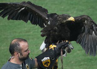 Αλμέιδα: Εντυπωσιασμένος με τον Οδυσσέα (ΦΩΤΟ)