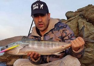 Απλά ντροπή: Κράζει ο Καστίγιο την Εθνική Ελλάδος για να υπερασπιστεί τον Ρονάλντο και τον… Μαρσέλο