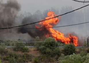 Ανυπολόγιστη φυσική καταστροφή: 1.200.000 καμμένης γης μέχρι σήμερα