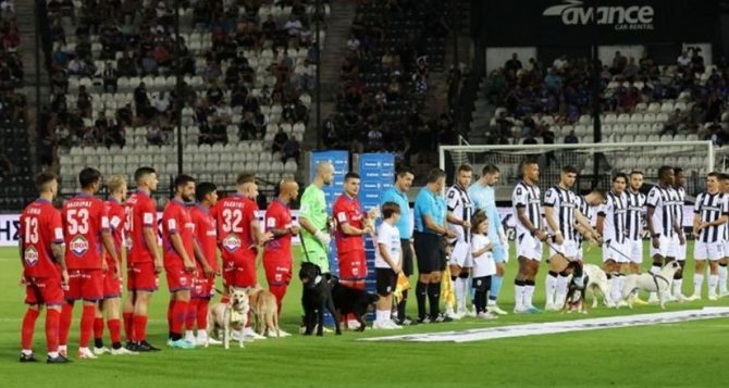 ΠΑΟΚ: Συνοδεία από αδέσποτα σκυλάκια στην είσοδο στην Τούμπα