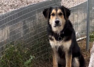 Ο Μαλέβο είναι πάντα στο πλευρό της ΑΕΚ (vid)