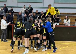 Μεγάλη νίκη στα Γιαννιτσά πανηγύρισε η γυναικεία ομάδα χάντμπολ
