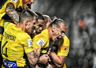 Έχετε δει αγέλη πως… ξεσπά, αν πληγώσουν τον αρχηγό της;
