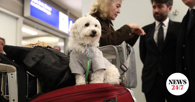 Διεθνές ενδιαφέρον για την ελληνική επιχείρηση επαναπατρισμού πολιτών και κατοικίδιων από τη Μ. Ανατολή