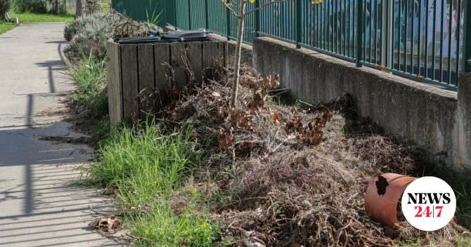 Ακαθάριστα οικόπεδα: Από 1η Απριλίου ο υποχρεωτικός καθαρισμός – Οι προθεσμίες και τα πρόστιμα