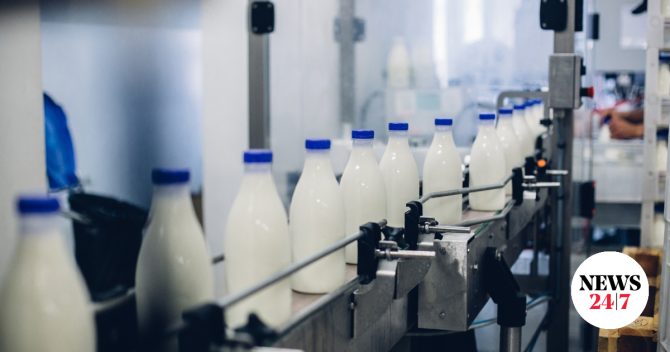 Λέσβος: Σταματά η αγορά γάλακτος την Πέμπτη λόγω του αφθώδους πυρετού