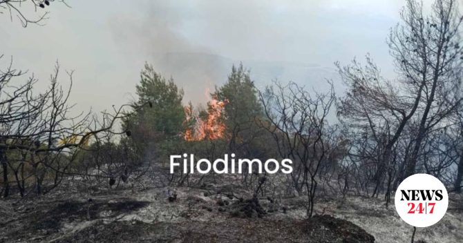 Αχαΐα: Μία σύλληψη για τη φωτιά στην Άμπελο – Σε εξέλιξη η επιχείρηση κατάσβεσης