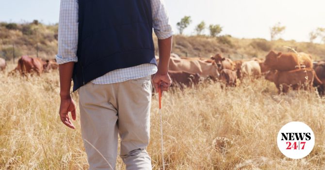 Λέσβος: Συναγερμός για την εξαφάνιση 24χρονου κτηνοτρόφου
