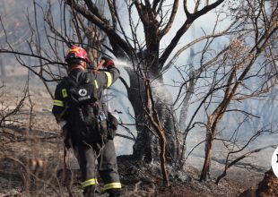 Φωτιά σε δάσος στο Λέπρεο Ηλείας