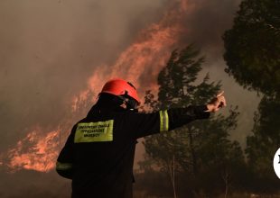 Συνελήφθη άνδρας για την πυρκαγιά στο Πήλιο