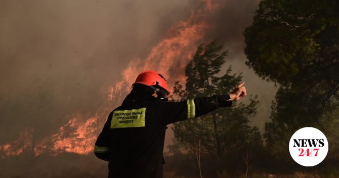 Συνελήφθη άνδρας για την πυρκαγιά στο Πήλιο