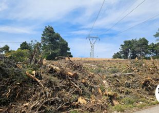 Δήμος Αθηναίων: Υποχρεωτικός καθαρισμός οικοπέδων έως 15 Ιουνίου για την αποφυγή πυρκαγιών